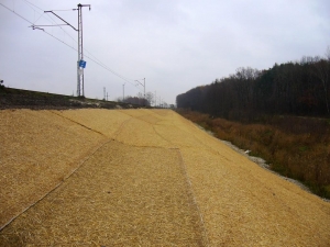 Wykonanie robót w zakresie budowy wzmocnień podtorza kolejowego (przypór ziemnych) na odcinku Bochnia - Biadoliny w km 39,000 - 61,300