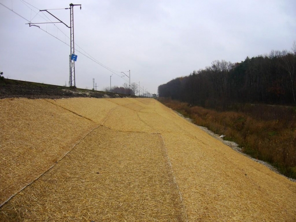 Wykonanie robót w zakresie budowy wzmocnień podtorza kolejowego (przypór ziemnych) na odcinku Bochnia - Biadoliny w km 39,000 - 61,300